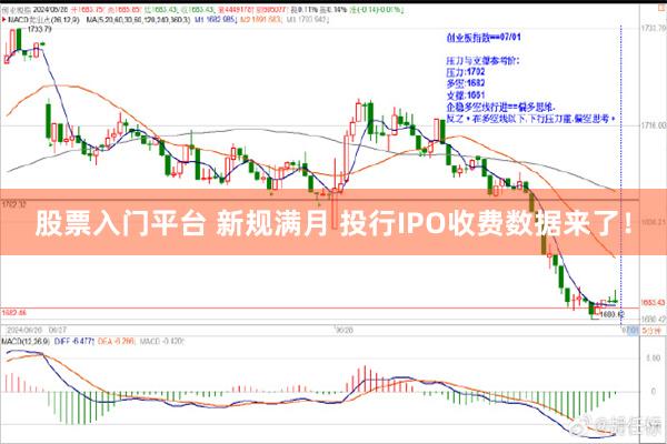 股票入门平台 新规满月 投行IPO收费数据来了!