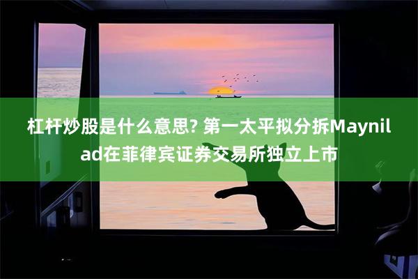 杠杆炒股是什么意思? 第一太平拟分拆Maynilad在菲律宾证券交易所独立上市