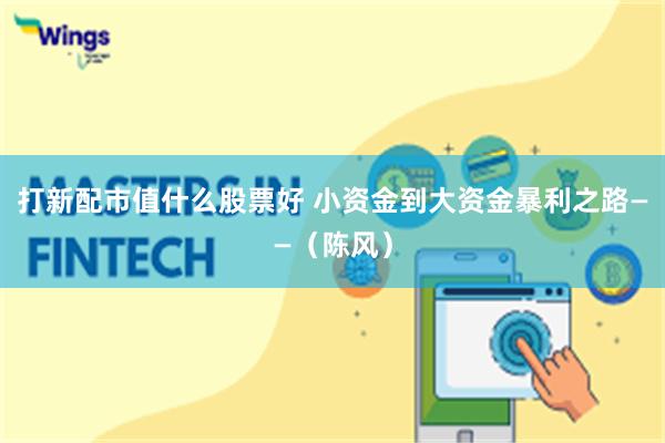 打新配市值什么股票好 小资金到大资金暴利之路——(陈风)