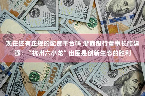 现在还有正规的配资平台吗 浙商银行董事长陆建强：“杭州六小龙”出圈是创新生态的胜利