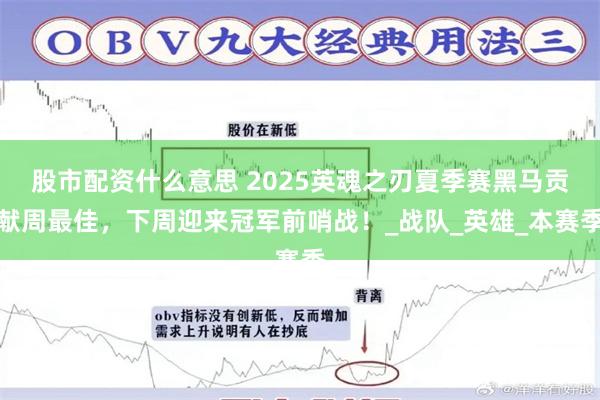 股市配资什么意思 2025英魂之刃夏季赛黑马贡献周最佳，下周迎来冠军前哨战！_战队_英雄_本赛季