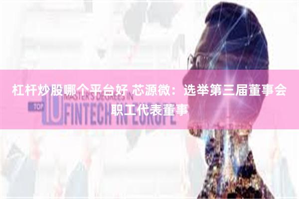 杠杆炒股哪个平台好 芯源微：选举第三届董事会职工代表董事